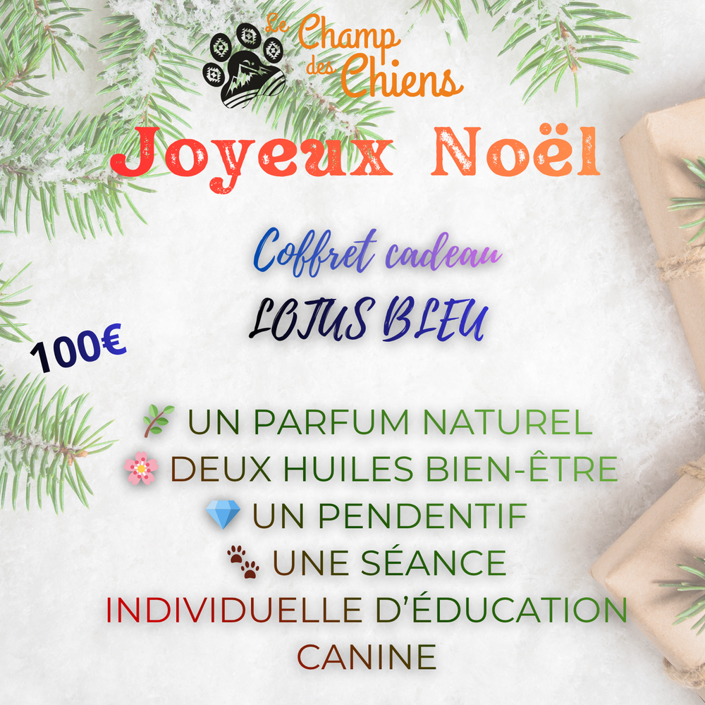Offre noël - Champs des chiens