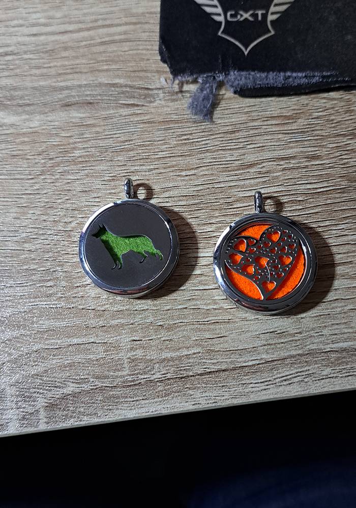 Collier chien