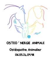 Logo partenaire