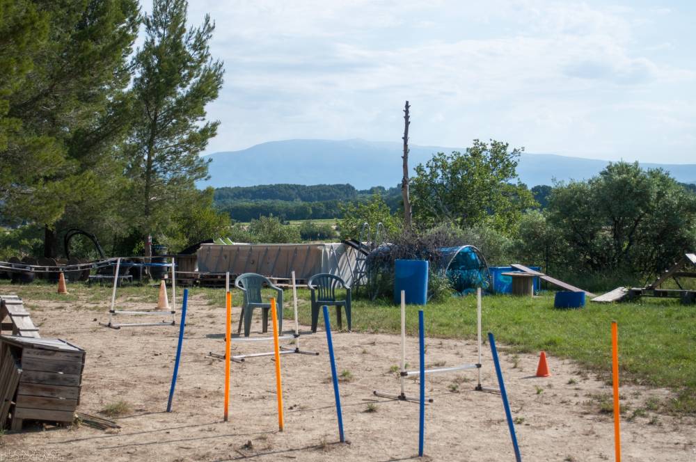 Terrain-1