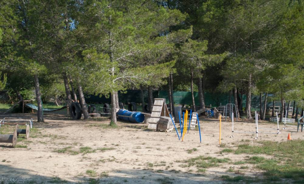 Terrain-2