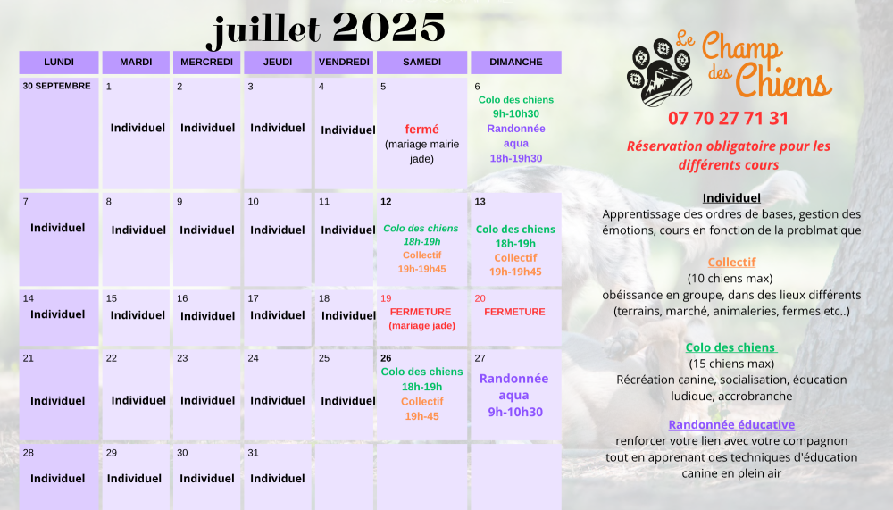 Planning Juillet 2025