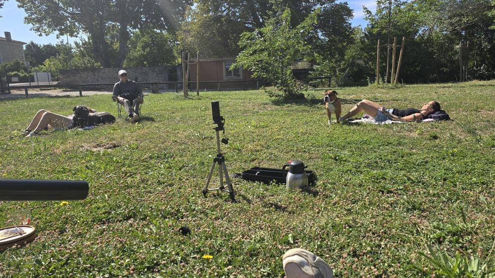 activite canines relax truff 3