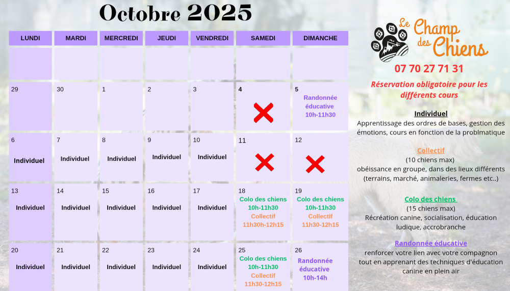 Copie de 7 18h Rando éducative_20250922_195610_0000