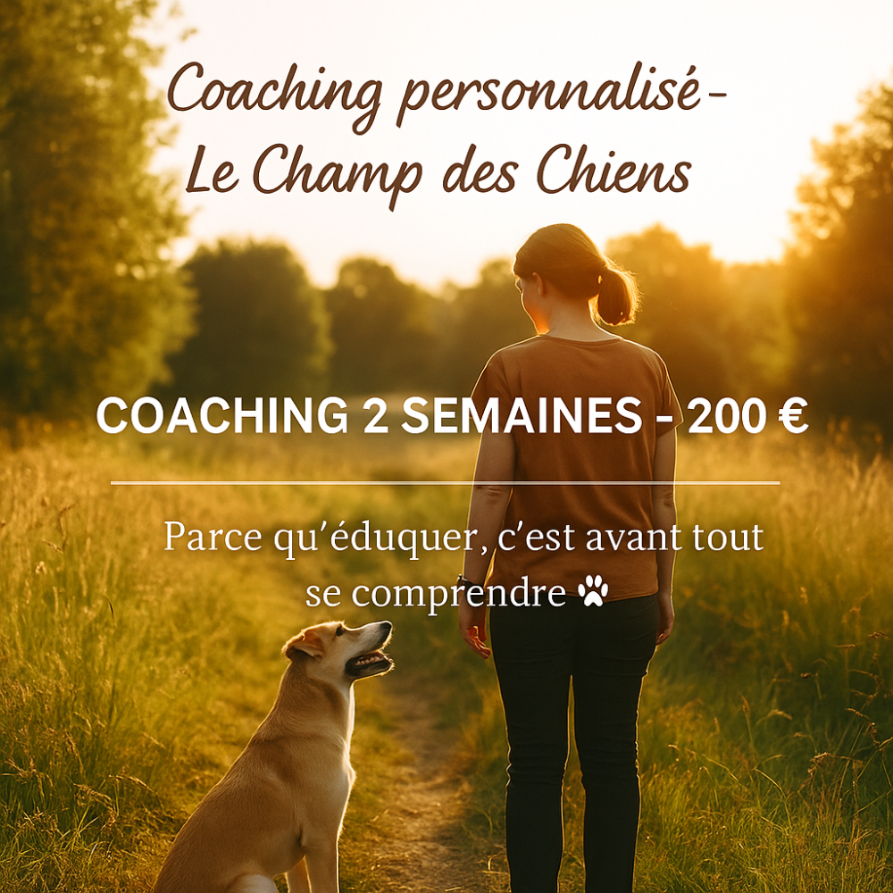 COACHING PERSONNALISÉ – 2 SEMAINES