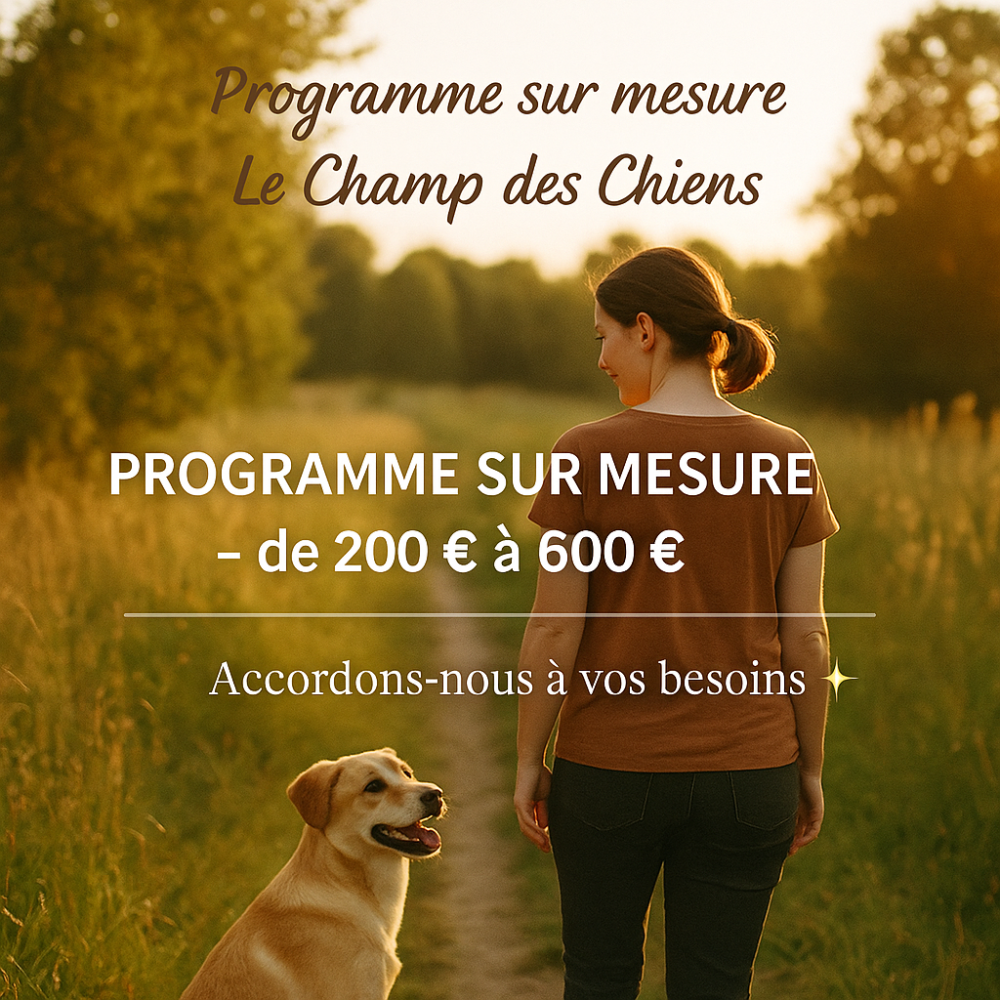 PROGRAMME PERSONNALISÉ SUR MESURE