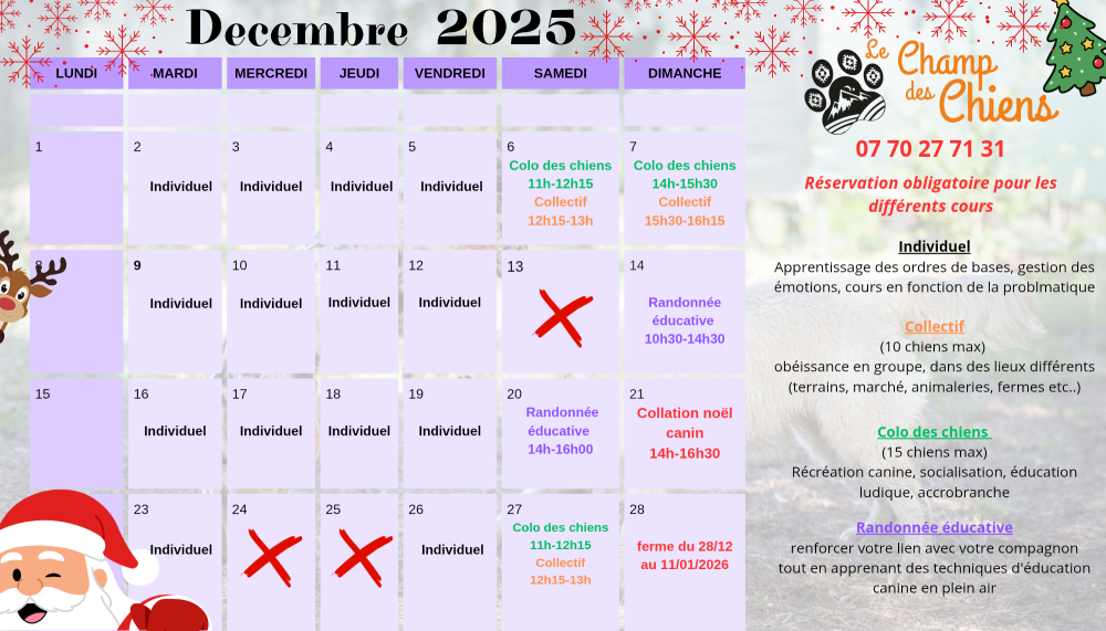 planning décembre