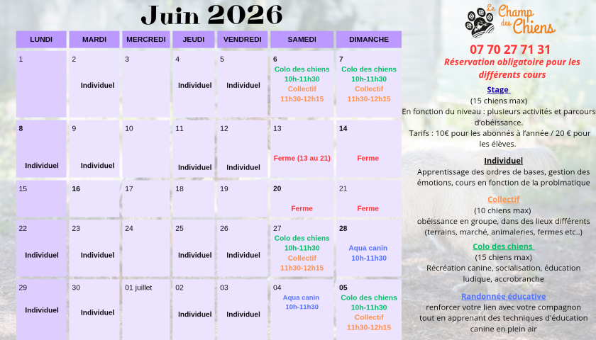 planning juin