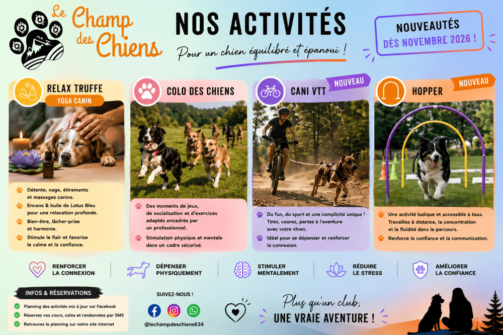 Le champs des chiens (1)