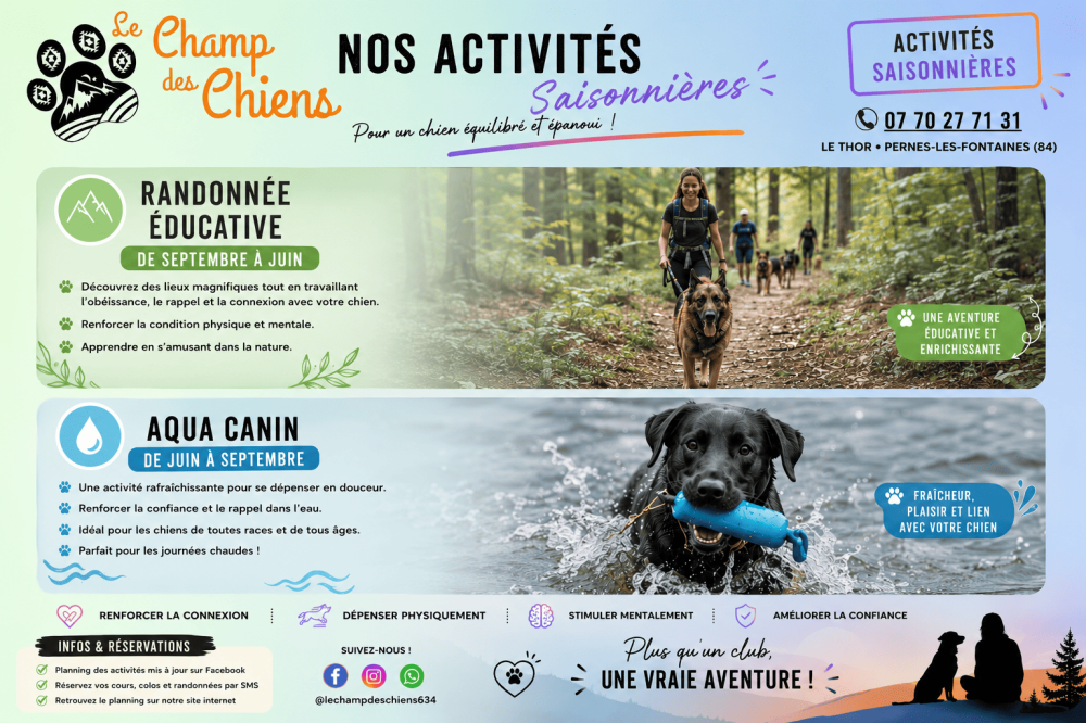 Le champs des chiens (2)